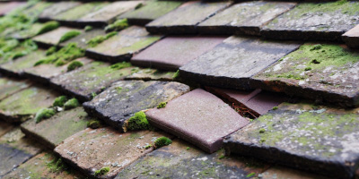 East Markham roof repair costs